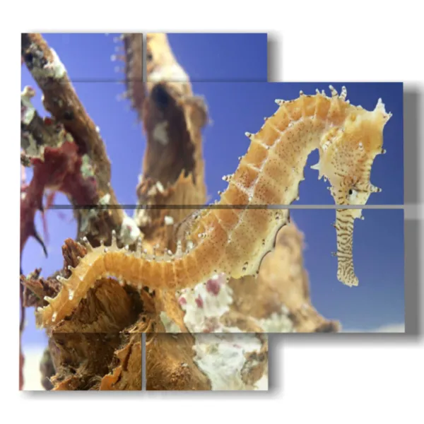 Tableaux abstraits avec des poissons.