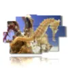 tableaux abstraits avec poissons hippocampes - version: 9 pannelli 171x108cm