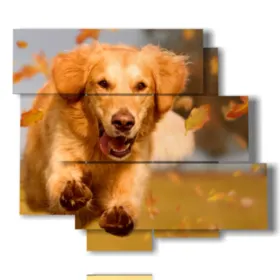 Tableau chien qui court