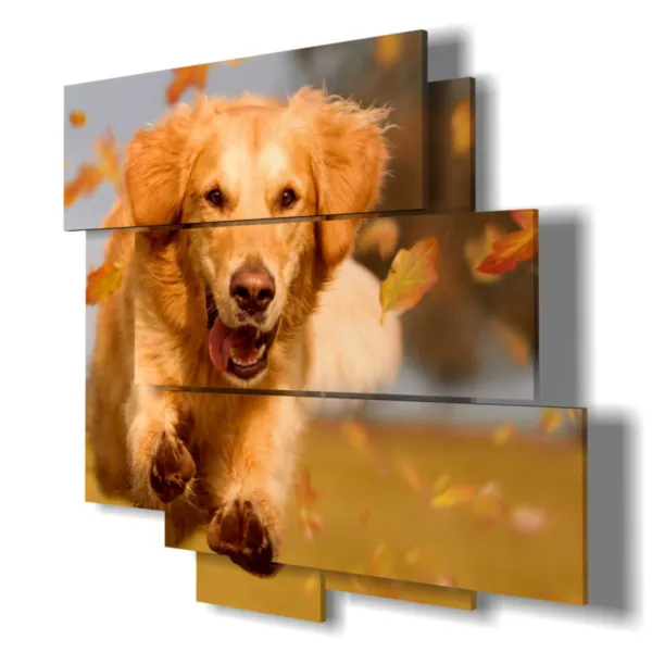 Drucke Hund, der läuft.