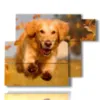 painting dog running in the autumn leaves - version: 6 pannelli 122x96cm