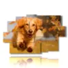 tableau chien courant dans les feuilles d automne - version: 9 pannelli 171x108cm