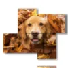 caja con fotos de perros divertidos - version: 4 pannelli 94x77cm