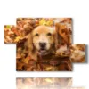 tableau avec de droles de photos de chiens - version: 5 pannelli 128x85cm