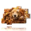 quadro con foto di cani divertenti - version: 10 pannelli 173x114cm