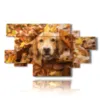bild mit bildern von lustigen hunden - version: 12 pannelli 206x119cm