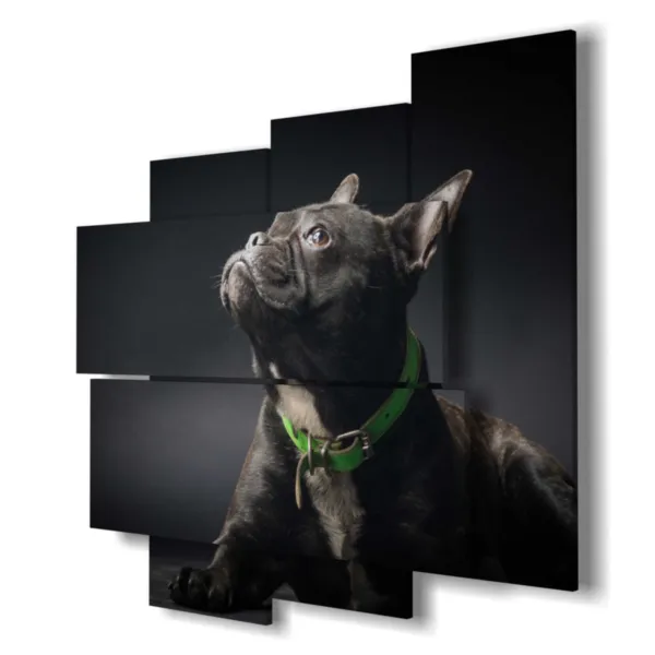 Paintings with photos of beautiful dogs