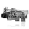 cuadro coliseo en blanco y negro - version: 9 pannelli 195x115cm