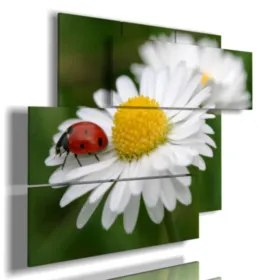 White daisy paintings