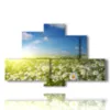 quadro con foto margherite di campo - version: 6 pannelli 135x85cm