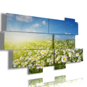 photo of wild daisies