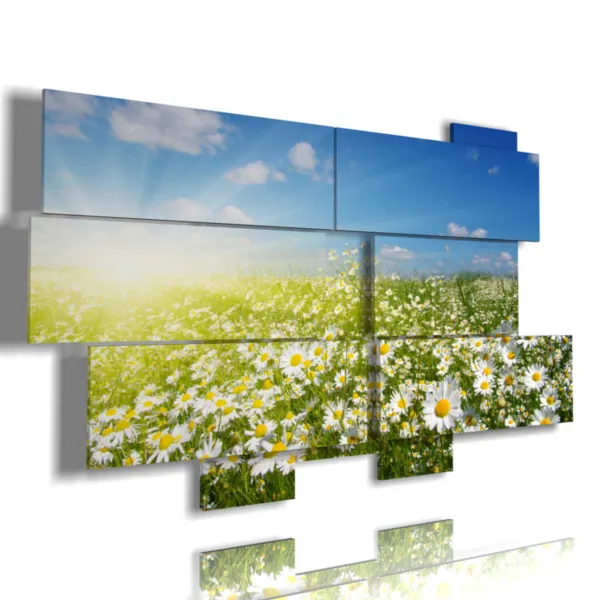 photo de marguerites de champ naturel