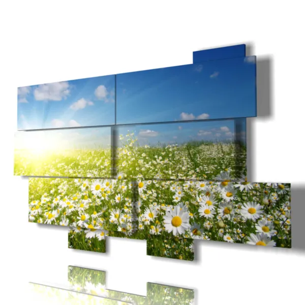 immagine margherite di campo