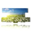 tableau avec photos de marguerites des champs - version: 8 pannelli 186x97cm
