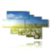 tableau avec photos de marguerites des champs - version: 7 pannelli 173x106cm