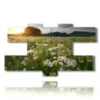 picture with photo of daisies - version: 7 pannelli 176x102cm