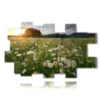 picture with photo of daisies - version: 20 pannelli 244x151cm