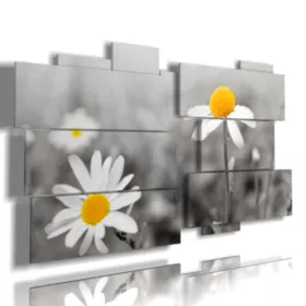 A picture with a black and white photo of daisies.