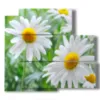 painting with photos of daisies and flowers - version: 5 pannelli 102x93cm