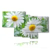 painting with photos of daisies and flowers - version: 7 pannelli 171x102cm