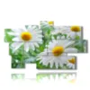 painting with photos of daisies and flowers - version: 9 pannelli 182x107cm