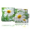 painting with photos of daisies and flowers - version: 10 pannelli 183x100cm