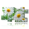 painting with photos of daisies and flowers - version: 10 pannelli 186x105cm