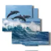 tableau avec poissons espiegles et dauphins sautant sur les vagues - version: 5 pannelli 104x92cm