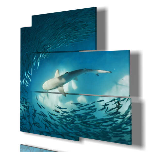 tableaux modernes de petits poissons et requins
