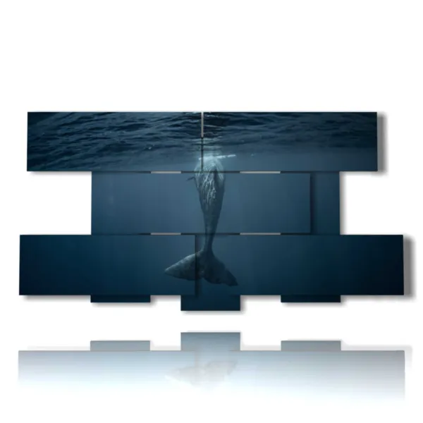 cuadros modernos de peces