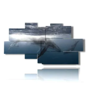 Paintings of the sea and fish