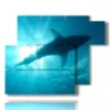 paintings with sea and fish and great white shark - version: 6 pannelli 122x96cm