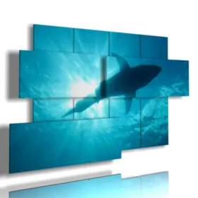 paintings with the sea, fish, and a large great white shark