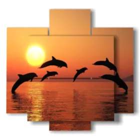 frames with tropical fish