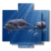 bilder ueber fische und delfinfamilie schwimmen im - version: 5 pannelli 89x85cm