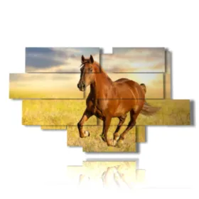 tableaux représentant des chevaux