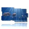 paintings on fish and family of dolphins swimming in the - version: 10 pannelli 183x100cm