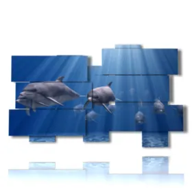 Peintures de poissons