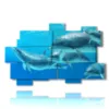 bilder beruehmter fische und delfine in gesellschaft - version: 11 pannelli 182x115cm