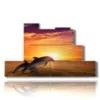 painting on canvas fish and jumping dolphins at sunset - version: 7 pannelli 171x101cm