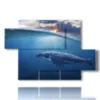 bilder tropischer fisch und halbwal - version: 5 pannelli 128x85cm