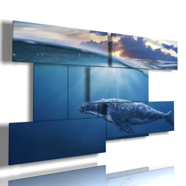 Tropical fish and whale paintings in the middle