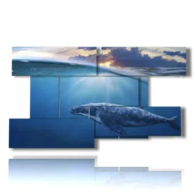 quadri pesci tropicali