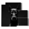 painting with photo with angry dog - version: 5 pannelli 102x93cm