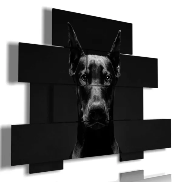 A picture with a photo of an angry dog.