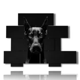 Foto mit sauerem Hund