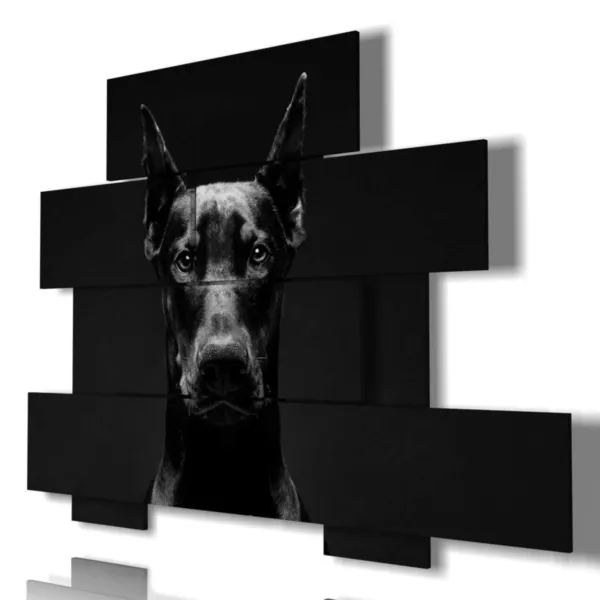 stampe cane arrabbiato