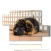 kleiner hund in bilder - version: 5 pannelli 128x85cm
