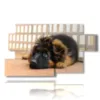 perro pequeno en los cuadros - version: 7 pannelli 157x90cm