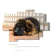 kleiner hund in bilder - version: 9 pannelli 164x114cm